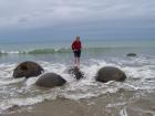 thumbs/NZ_Riki_2180.jpg