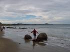 thumbs/NZ_Riki_2185.jpg