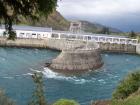 thumbs/NZ_Riki_2196.jpg