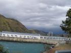 thumbs/NZ_Riki_2199.jpg
