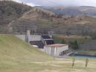 thumbs/NZ_Riki_2203.jpg