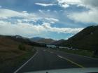 thumbs/NZ_Riki_2206.jpg