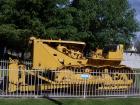 thumbs/NZ_Riki_2232.jpg