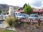 thumbs/NZ_Riki_2242.jpg