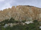 thumbs/NZ_Riki_2243.jpg