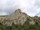 thumbs/NZ_Riki_2244.jpg