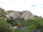 thumbs/NZ_Riki_2245.jpg