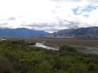 thumbs/NZ_Riki_2248.jpg
