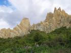 thumbs/NZ_Riki_2249.jpg