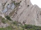 thumbs/NZ_Riki_2250.jpg