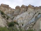 thumbs/NZ_Riki_2252.jpg