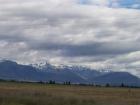 thumbs/NZ_Riki_2255.jpg