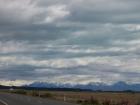 thumbs/NZ_Riki_2256.jpg