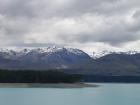 thumbs/NZ_Riki_2259.jpg