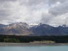 thumbs/NZ_Riki_2260.jpg