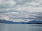 thumbs/NZ_Riki_2261.jpg