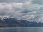 thumbs/NZ_Riki_2266.jpg