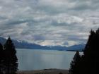 thumbs/NZ_Riki_2267.jpg