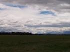 thumbs/NZ_Riki_2268.jpg
