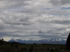 thumbs/NZ_Riki_2269.jpg
