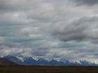 thumbs/NZ_Riki_2270.jpg