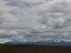 thumbs/NZ_Riki_2271.jpg