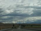 thumbs/NZ_Riki_2272.jpg