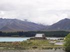 thumbs/NZ_Riki_2273.jpg