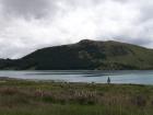 thumbs/NZ_Riki_2278.jpg