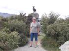thumbs/NZ_Riki_2284.jpg