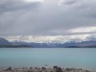 thumbs/NZ_Riki_2286.jpg