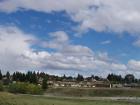 thumbs/NZ_Riki_2287.jpg