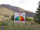 thumbs/NZ_Riki_2289.jpg