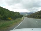 thumbs/NZ_Riki_2290.jpg