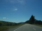 thumbs/NZ_Riki_2417.jpg