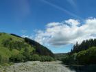 thumbs/NZ_Riki_2419.jpg