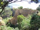 thumbs/NZ_Riki_2420.jpg