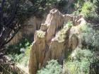 thumbs/NZ_Riki_2421.jpg