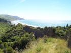 thumbs/NZ_Riki_2423.jpg