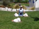 thumbs/NZ_Riki_2429.jpg