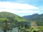 thumbs/NZ_Riki_2432.jpg