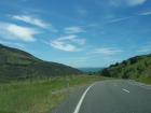 thumbs/NZ_Riki_2433.jpg
