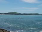 thumbs/NZ_Riki_2438.jpg