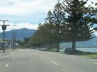 thumbs/NZ_Riki_2443.jpg