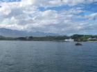 thumbs/NZ_Riki_2461.jpg