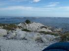 thumbs/NZ_Riki_2465.jpg