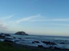 thumbs/NZ_Riki_2471.jpg