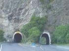 thumbs/NZ_Riki_2472.jpg
