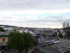 thumbs/NZ_Riki_2477.jpg