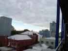thumbs/NZ_Riki_2479.jpg